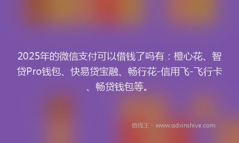 2025年的微信支付可以借钱了吗有：橙心花、智贷Pro钱包、快易贷宝融、畅行花-信用飞-飞行卡、畅贷钱包等。