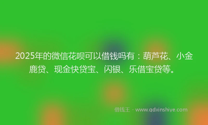 2025年的微信花呗可以借钱吗有：葫芦花、小金鹿贷、现金快贷宝、闪银、乐借宝贷等。