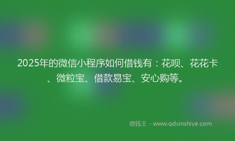 2025年的微信小程序如何借钱有：花呗、花花卡、微粒宝、借款易宝、安心购等。