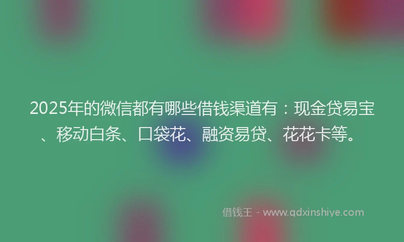 2025年的微信都有哪些借钱渠道有：现金贷易宝、移动白条、口袋花、融资易贷、花花卡等。