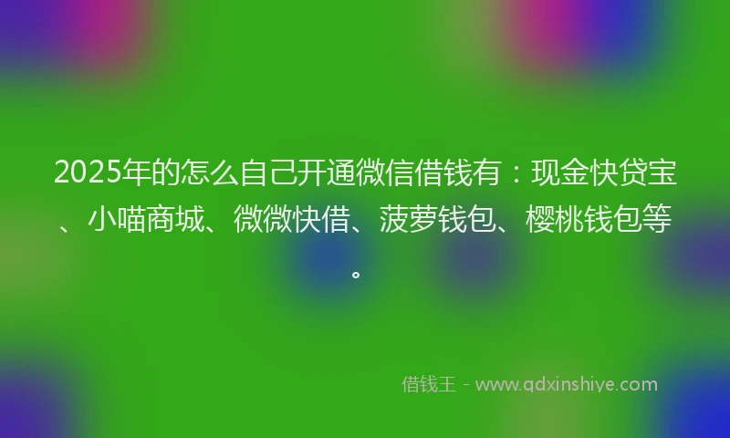 2025年的怎么自己开通微信借钱有：现金快贷宝、小喵商城、微微快借、菠萝钱包、樱桃钱包等。