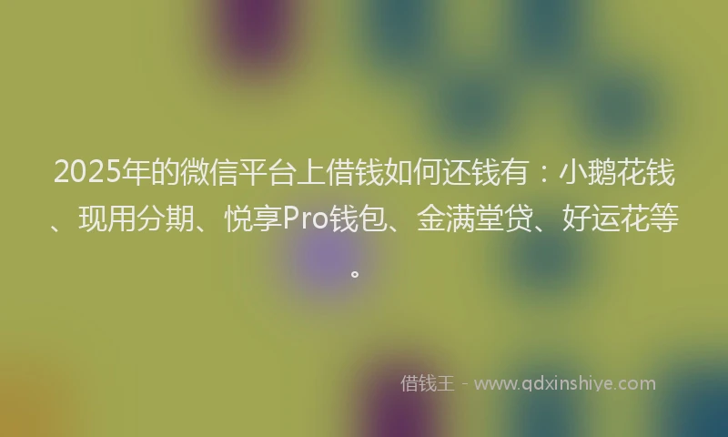 2025年的微信平台上借钱如何还钱有：小鹅花钱、现用分期、悦享Pro钱包、金满堂贷、好运花等。