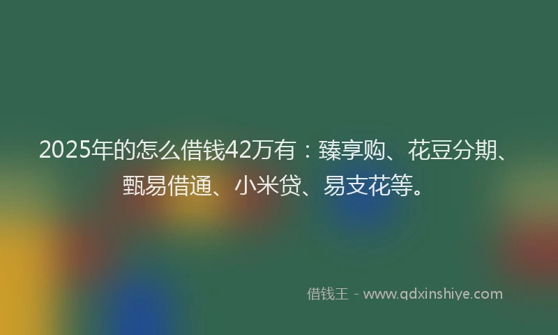 2025年的怎么借钱42万有：臻享购、花豆分期、甄易借通、小米贷、易支花等。