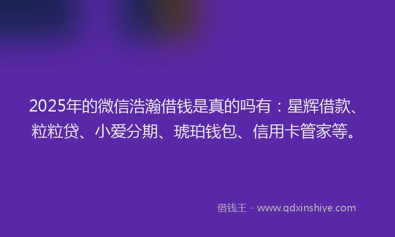 2025年的微信浩瀚借钱是真的吗有：星辉借款、粒粒贷、小爱分期、琥珀钱包、信用卡管家等。