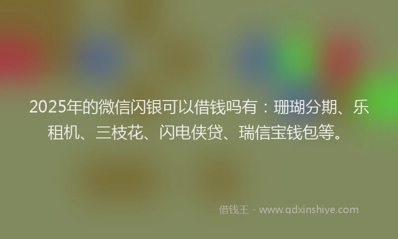 2025年的微信闪银可以借钱吗有：珊瑚分期、乐租机、三枝花、闪电侠贷、瑞信宝钱包等。