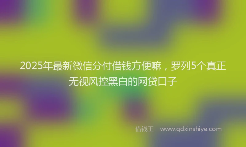 2025年最新微信分付借钱方便嘛，罗列5个真正无视风控黑白的网贷口子