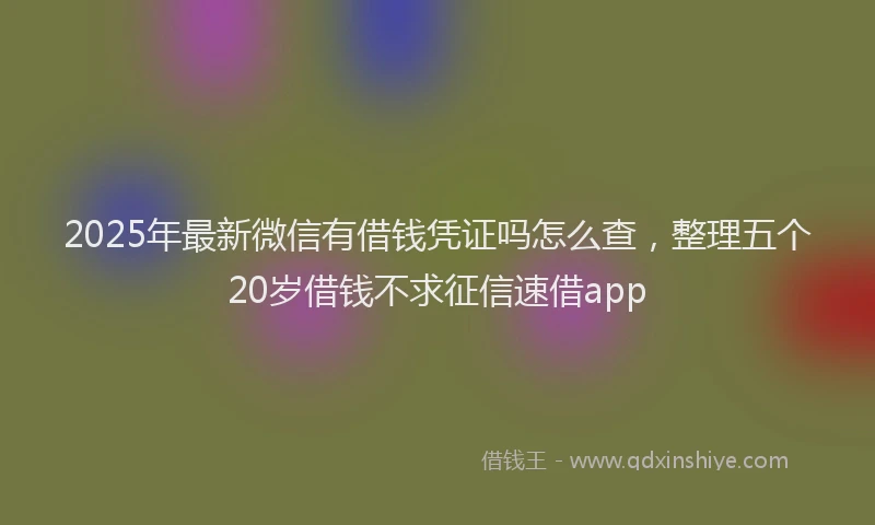 2025年最新微信有借钱凭证吗怎么查，整理五个20岁借钱不求征信速借app