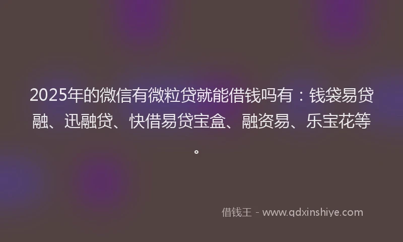 2025年的微信有微粒贷就能借钱吗有：钱袋易贷融、迅融贷、快借易贷宝盒、融资易、乐宝花等。
