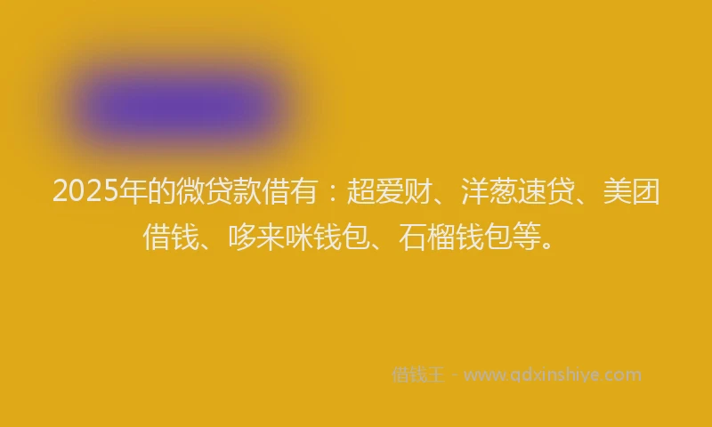 2025年的微贷款借有：超爱财、洋葱速贷、美团借钱、哆来咪钱包、石榴钱包等。