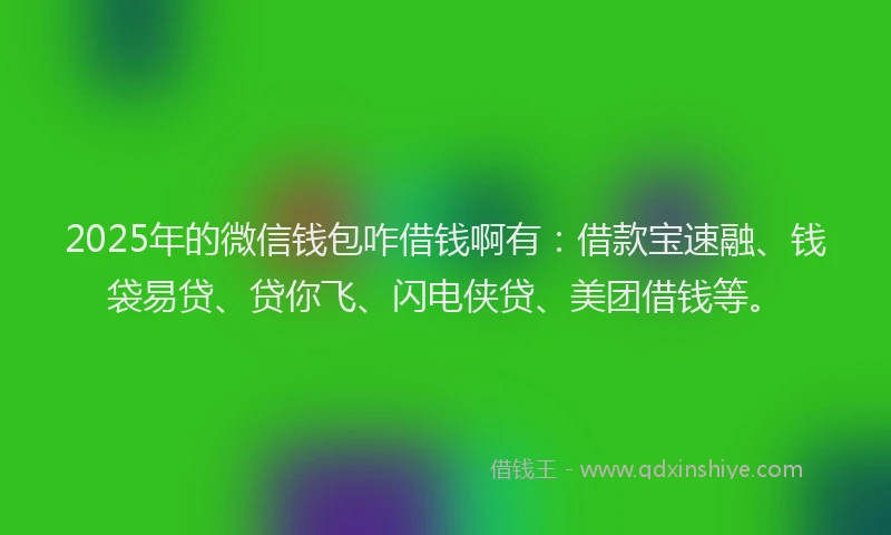 2025年的微信钱包咋借钱啊有：借款宝速融、钱袋易贷、贷你飞、闪电侠贷、美团借钱等。