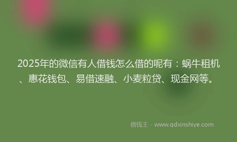 2025年的微信有人借钱怎么借的呢有：蜗牛租机、惠花钱包、易借速融、小麦粒贷、现金网等。