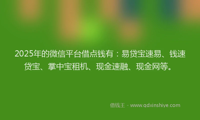 2025年的微信平台借点钱有：易贷宝速易、钱速贷宝、掌中宝租机、现金速融、现金网等。
