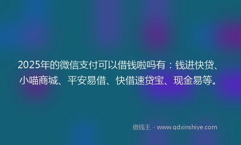 2025年的微信支付可以借钱啦吗有：钱进快贷、小喵商城、平安易借、快借速贷宝、现金易等。