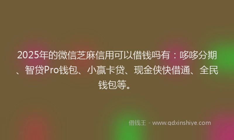 2025年的微信芝麻信用可以借钱吗有：哆哆分期、智贷Pro钱包、小赢卡贷、现金侠快借通、全民钱包等。