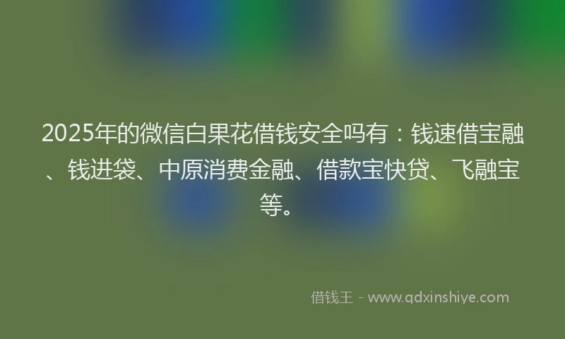 2025年的微信白果花借钱安全吗有：钱速借宝融、钱进袋、中原消费金融、借款宝快贷、飞融宝等。