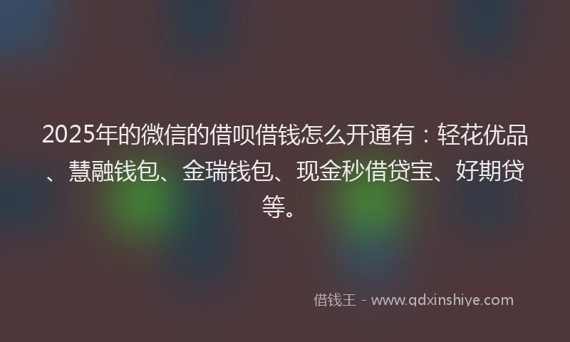 2025年的微信的借呗借钱怎么开通有：轻花优品、慧融钱包、金瑞钱包、现金秒借贷宝、好期贷等。