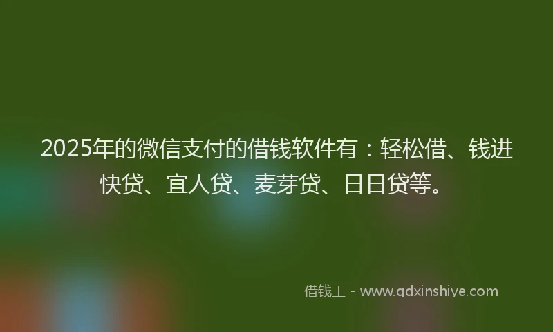 2025年的微信支付的借钱软件有：轻松借、钱进快贷、宜人贷、麦芽贷、日日贷等。