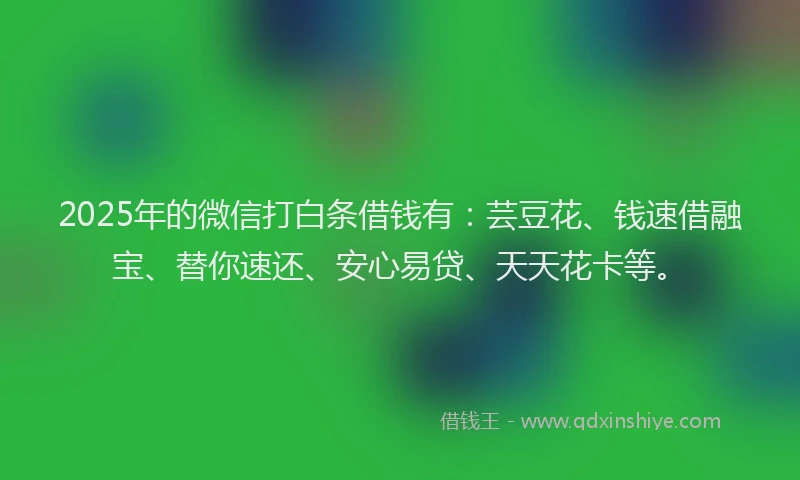 2025年的微信打白条借钱有：芸豆花、钱速借融宝、替你速还、安心易贷、天天花卡等。