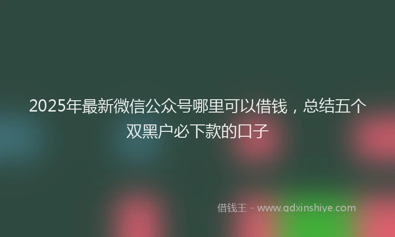 2025年最新微信公众号哪里可以借钱，总结五个双黑户必下款的口子