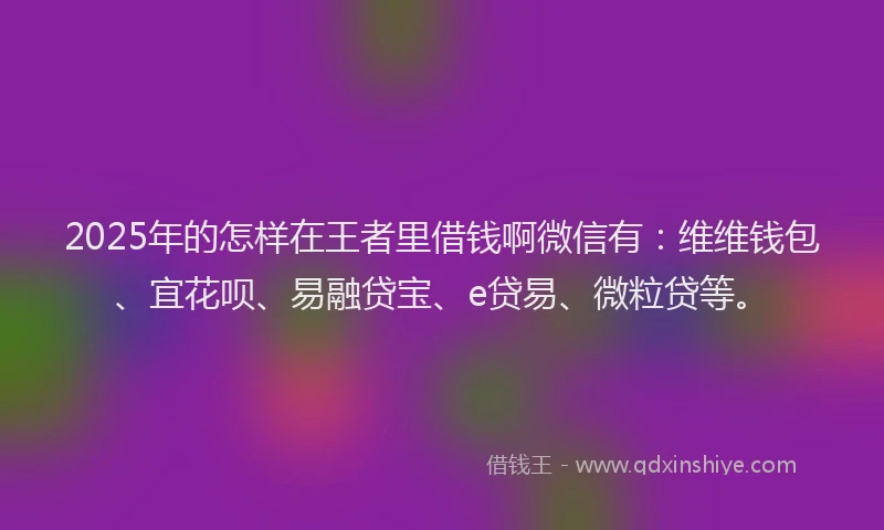 2025年的怎样在王者里借钱啊微信有：维维钱包、宜花呗、易融贷宝、e贷易、微粒贷等。