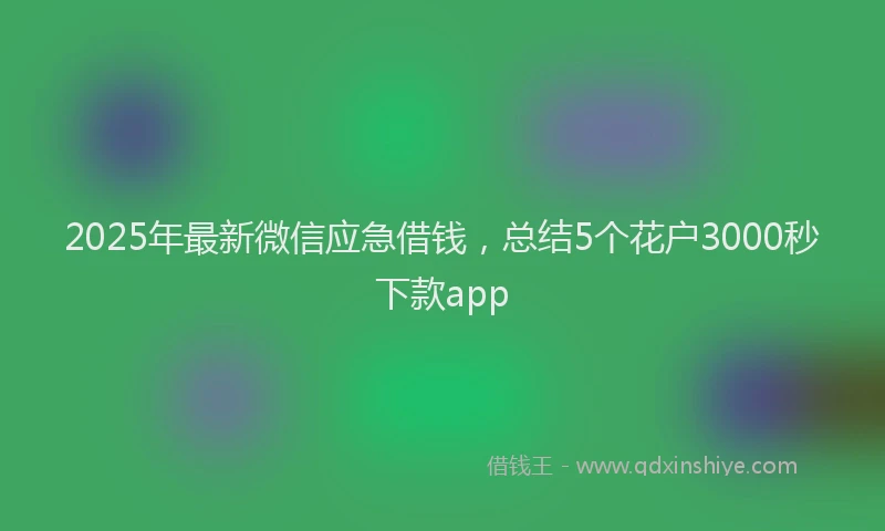 2025年最新微信应急借钱，总结5个花户3000秒下款app