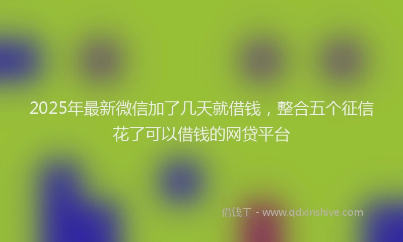 2025年最新微信加了几天就借钱，整合五个征信花了可以借钱的网贷平台