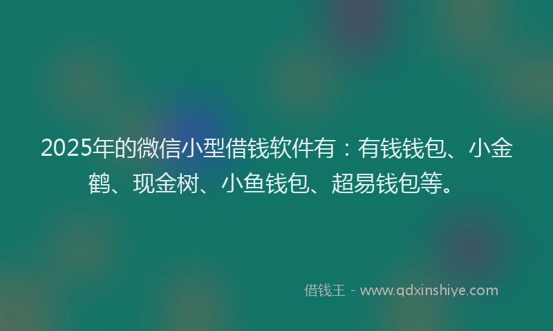 2025年的微信小型借钱软件有：有钱钱包、小金鹤、现金树、小鱼钱包、超易钱包等。