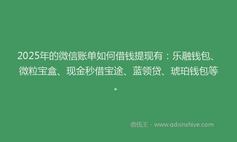2025年的微信账单如何借钱提现有：乐融钱包、微粒宝盒、现金秒借宝途、蓝领贷、琥珀钱包等。