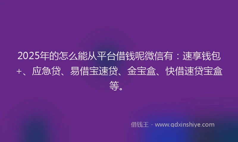 2025年的怎么能从平台借钱呢微信有：速享钱包+、应急贷、易借宝速贷、金宝盒、快借速贷宝盒等。