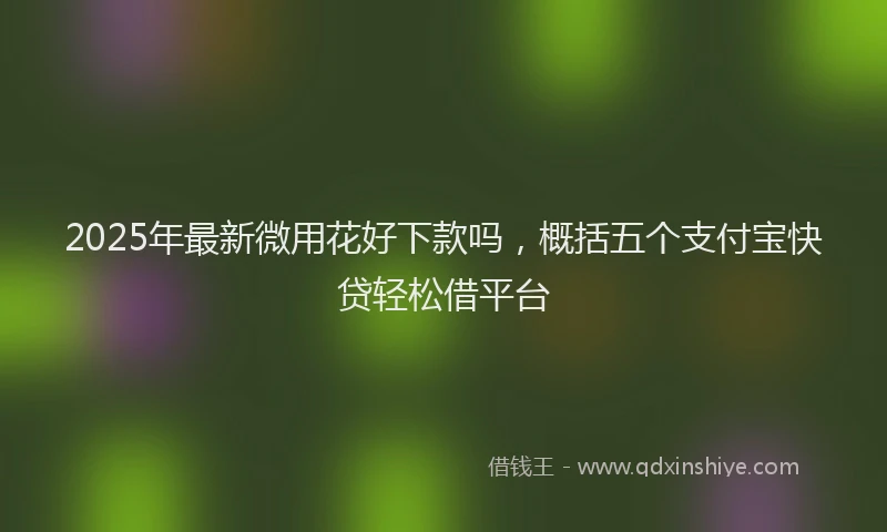 2025年最新微用花好下款吗，概括五个支付宝快贷轻松借平台