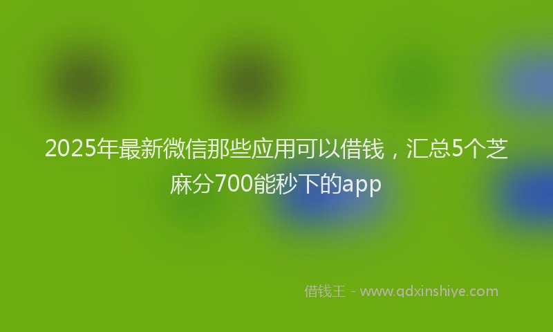2025年最新微信那些应用可以借钱，汇总5个芝麻分700能秒下的app
