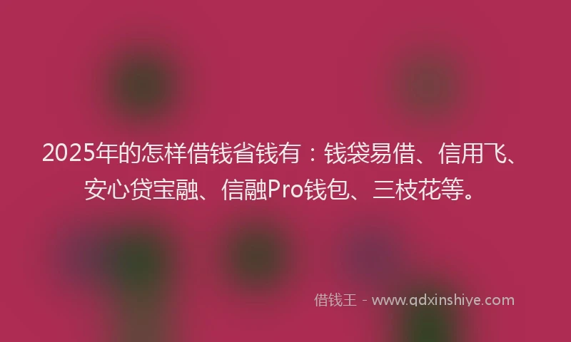 2025年的怎样借钱省钱有：钱袋易借、信用飞、安心贷宝融、信融Pro钱包、三枝花等。
