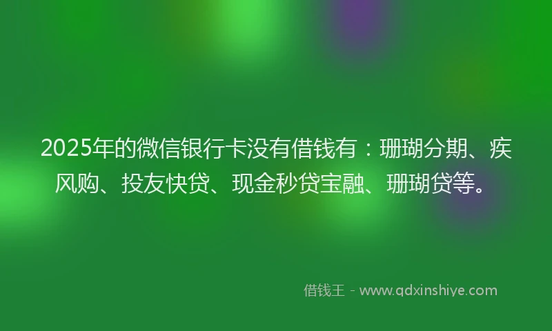 2025年的微信银行卡没有借钱有：珊瑚分期、疾风购、投友快贷、现金秒贷宝融、珊瑚贷等。