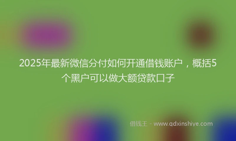 2025年最新微信分付如何开通借钱账户，概括5个黑户可以做大额贷款口子