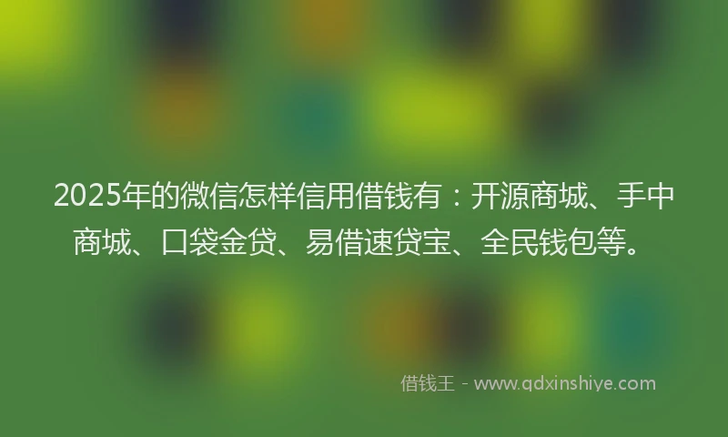 2025年的微信怎样信用借钱有：开源商城、手中商城、口袋金贷、易借速贷宝、全民钱包等。