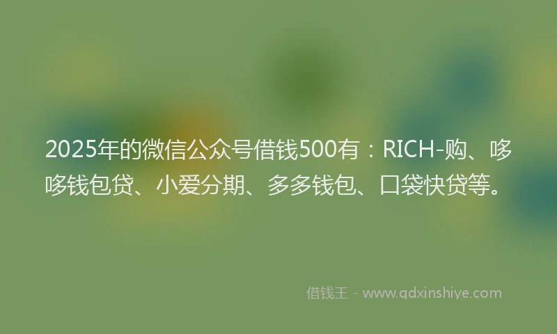 2025年的微信公众号借钱500有：RICH-购、哆哆钱包贷、小爱分期、多多钱包、口袋快贷等。