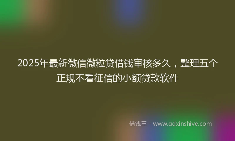 2025年最新微信微粒贷借钱审核多久，整理五个正规不看征信的小额贷款软件