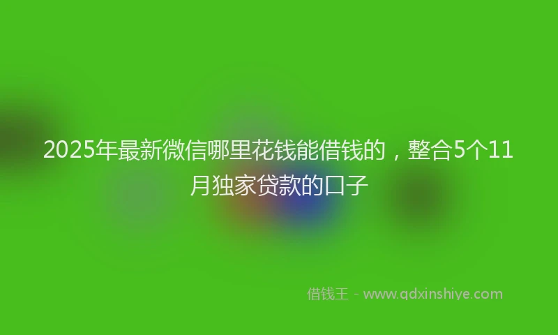 2025年最新微信哪里花钱能借钱的，整合5个11月独家贷款的口子