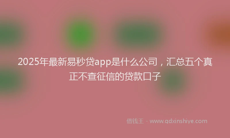 2025年最新易秒贷app是什么公司，汇总五个真正不查征信的贷款口子