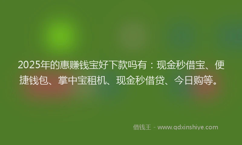 2025年的惠赚钱宝好下款吗有：现金秒借宝、便捷钱包、掌中宝租机、现金秒借贷、今日购等。
