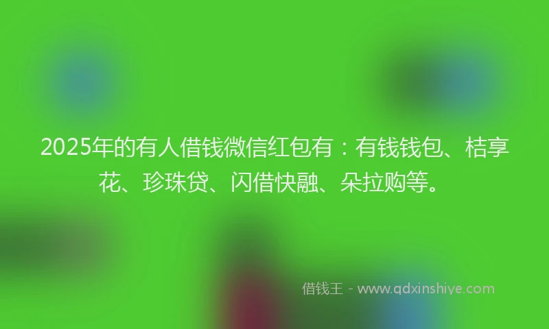 2025年的有人借钱微信红包有：有钱钱包、桔享花、珍珠贷、闪借快融、朵拉购等。