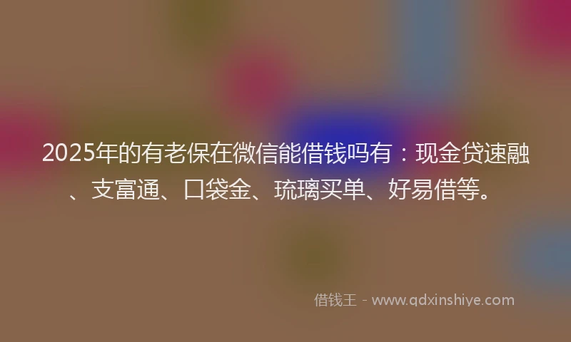2025年的有老保在微信能借钱吗有：现金贷速融、支富通、口袋金、琉璃买单、好易借等。