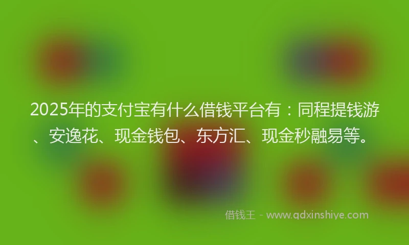 2025年的支付宝有什么借钱平台有：同程提钱游、安逸花、现金钱包、东方汇、现金秒融易等。