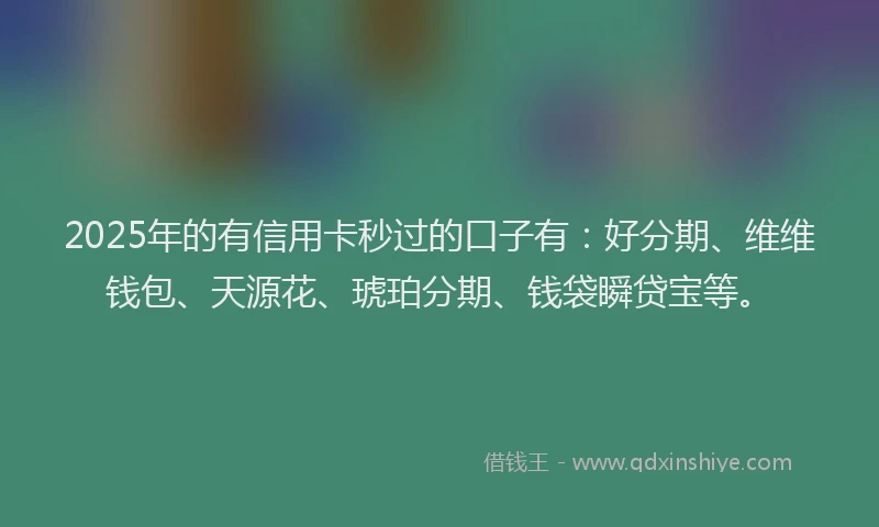 2025年的有信用卡秒过的口子有：好分期、维维钱包、天源花、琥珀分期、钱袋瞬贷宝等。