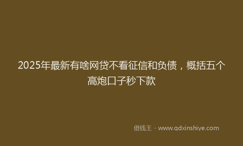 2025年最新有啥网贷不看征信和负债，概括五个高炮口子秒下款