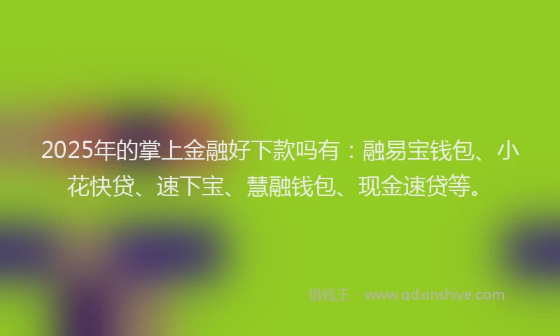 2025年的掌上金融好下款吗有：融易宝钱包、小花快贷、速下宝、慧融钱包、现金速贷等。