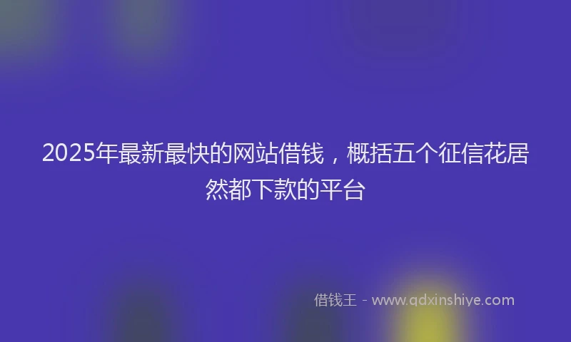 2025年最新最快的网站借钱，概括五个征信花居然都下款的平台