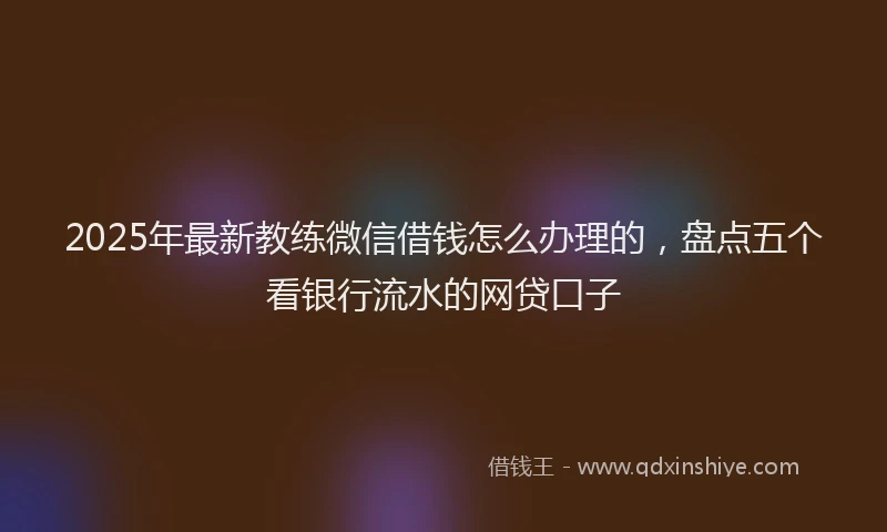 2025年最新教练微信借钱怎么办理的，盘点五个看银行流水的网贷口子