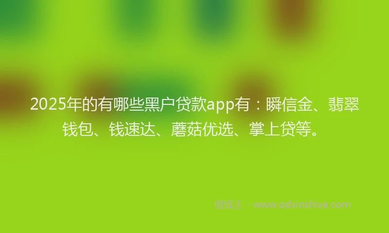 2025年的有哪些黑户贷款app有：瞬信金、翡翠钱包、钱速达、蘑菇优选、掌上贷等。