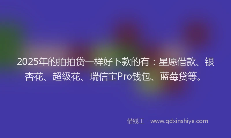 2025年的拍拍贷一样好下款的有：星愿借款、银杏花、超级花、瑞信宝Pro钱包、蓝莓贷等。